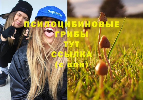 кокаин Белокуриха