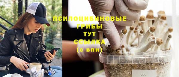 ALPHA PVP Беломорск