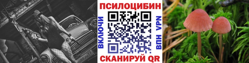 что такое   нарко площадка формула  Галлюциногенные грибы Psilocybe  Волоколамск 
